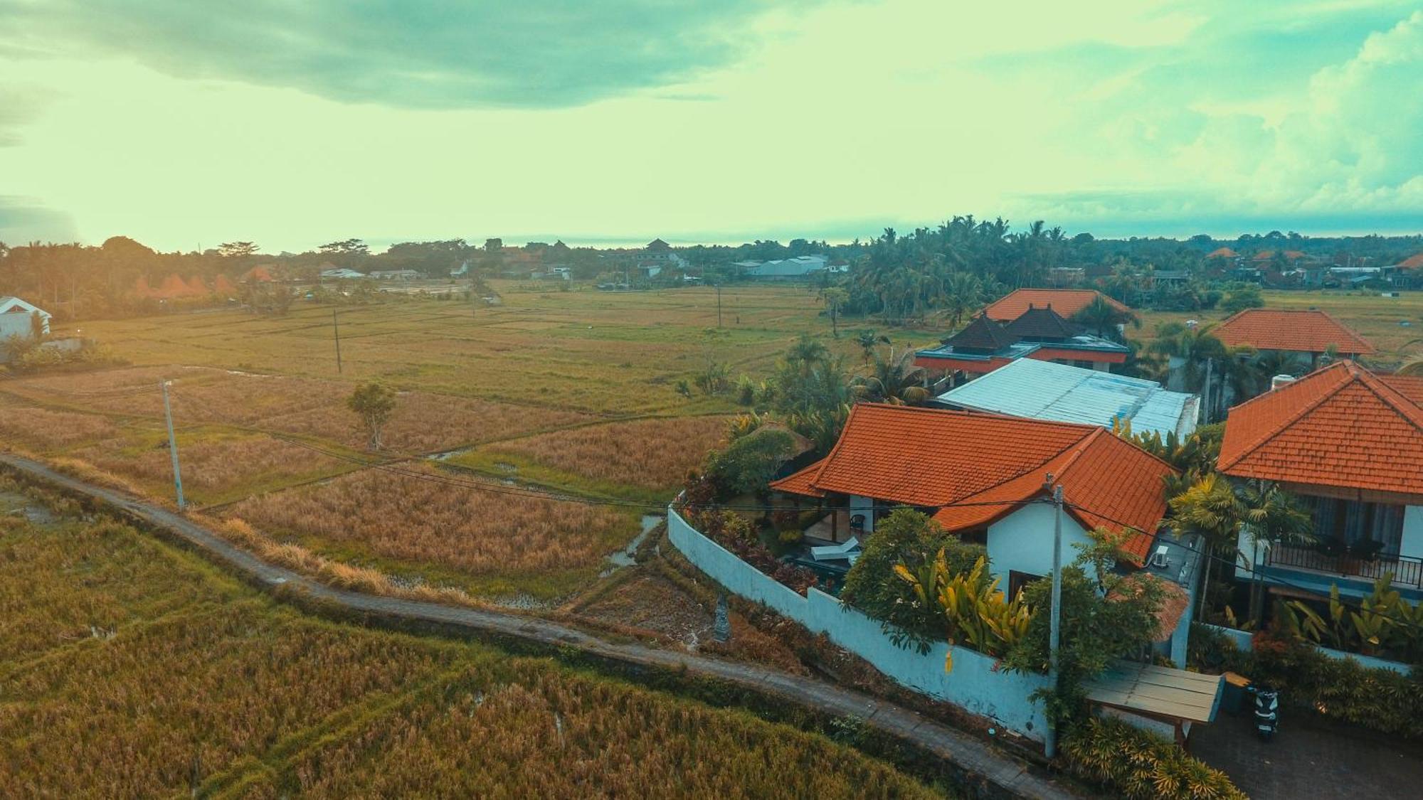 Villa Maya Ubud, Peaceful Rice Field View Eksteriør bilde