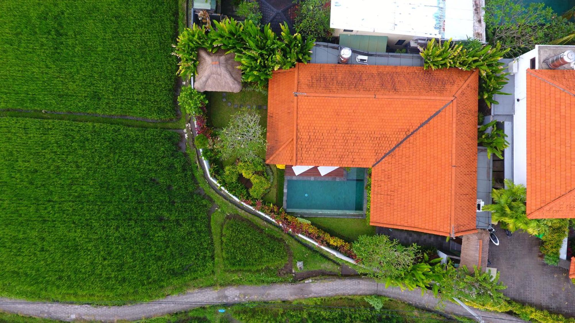 Villa Maya Ubud, Peaceful Rice Field View Eksteriør bilde