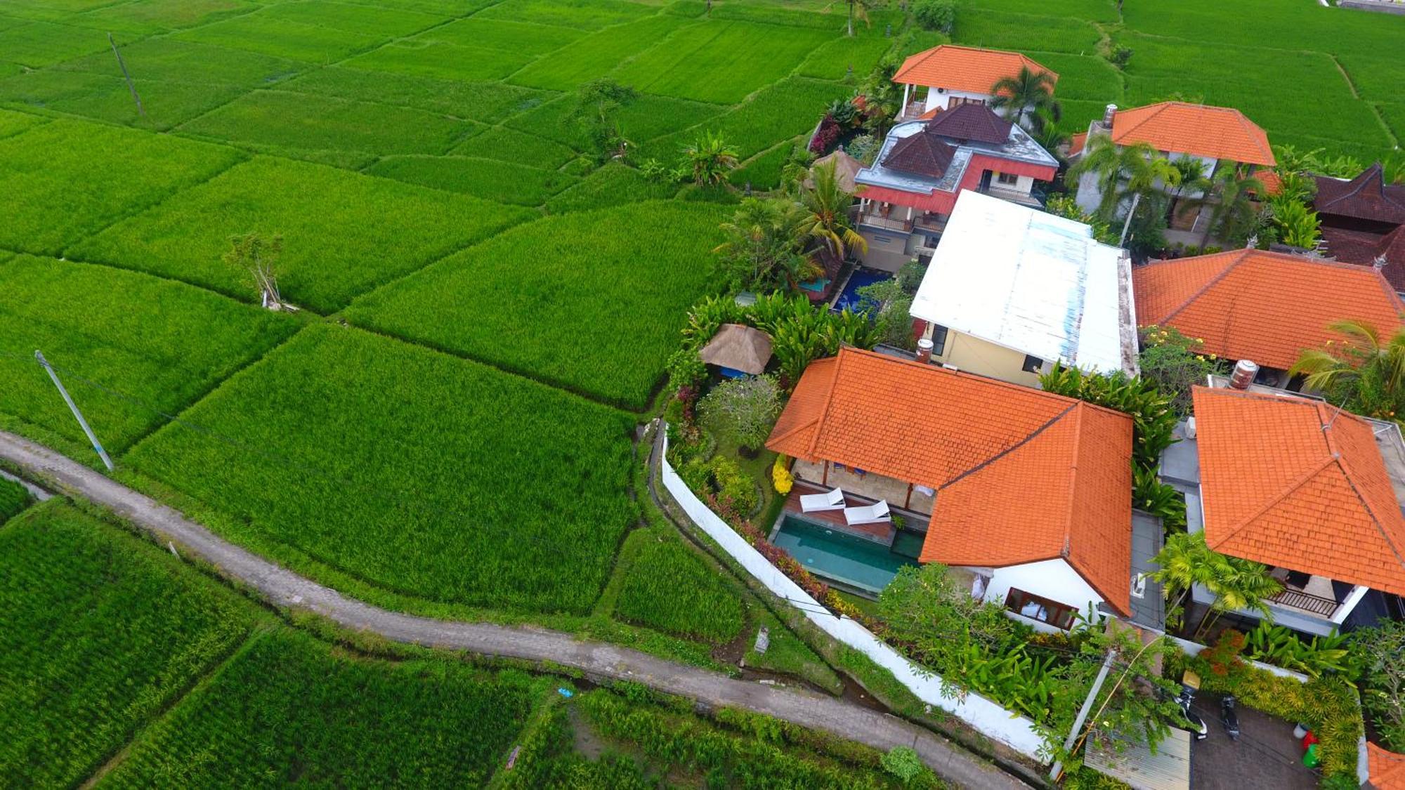Villa Maya Ubud, Peaceful Rice Field View Eksteriør bilde