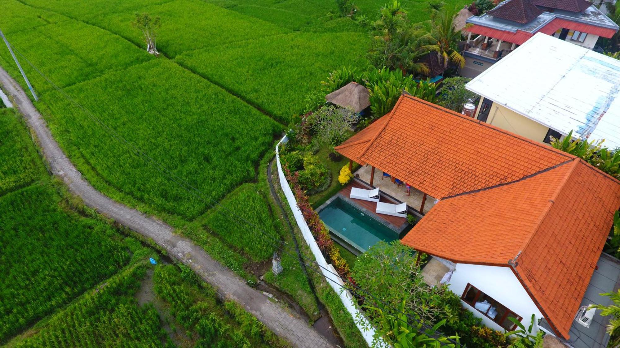 Villa Maya Ubud, Peaceful Rice Field View Eksteriør bilde